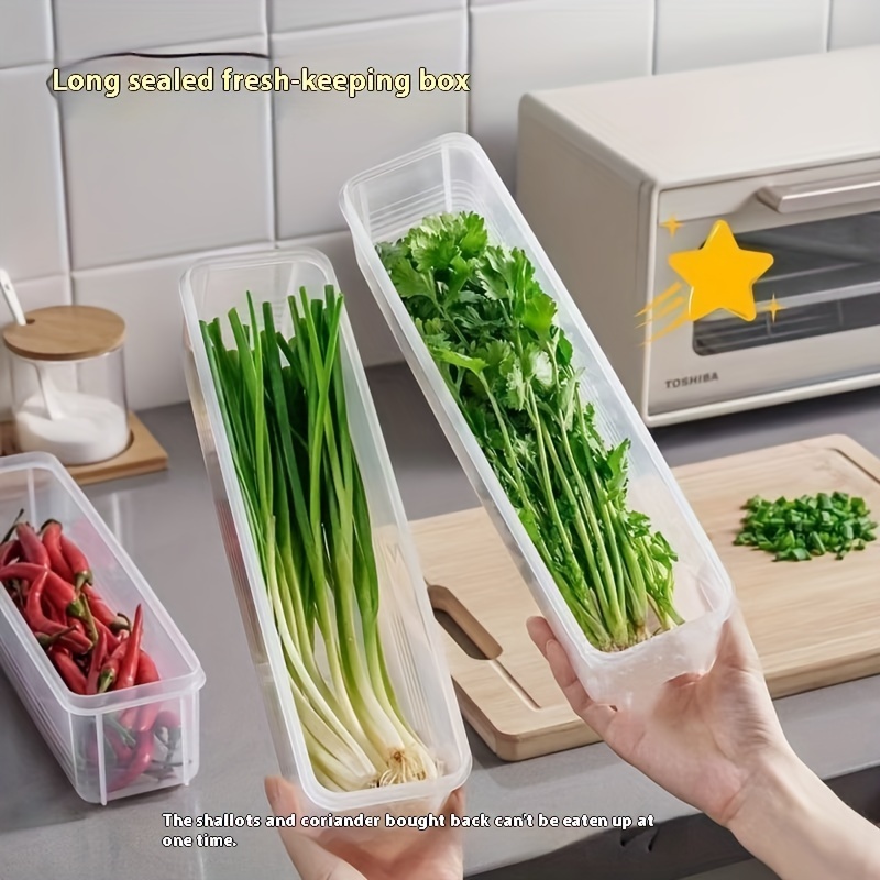 Food Storage Small - Buzdolabı Taze Tutma Saklama Kutusu, Taze