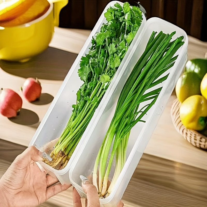 Buzdolabı Taze Tutma Saklama K - Food Storage Small incelemesi ve fiyatı